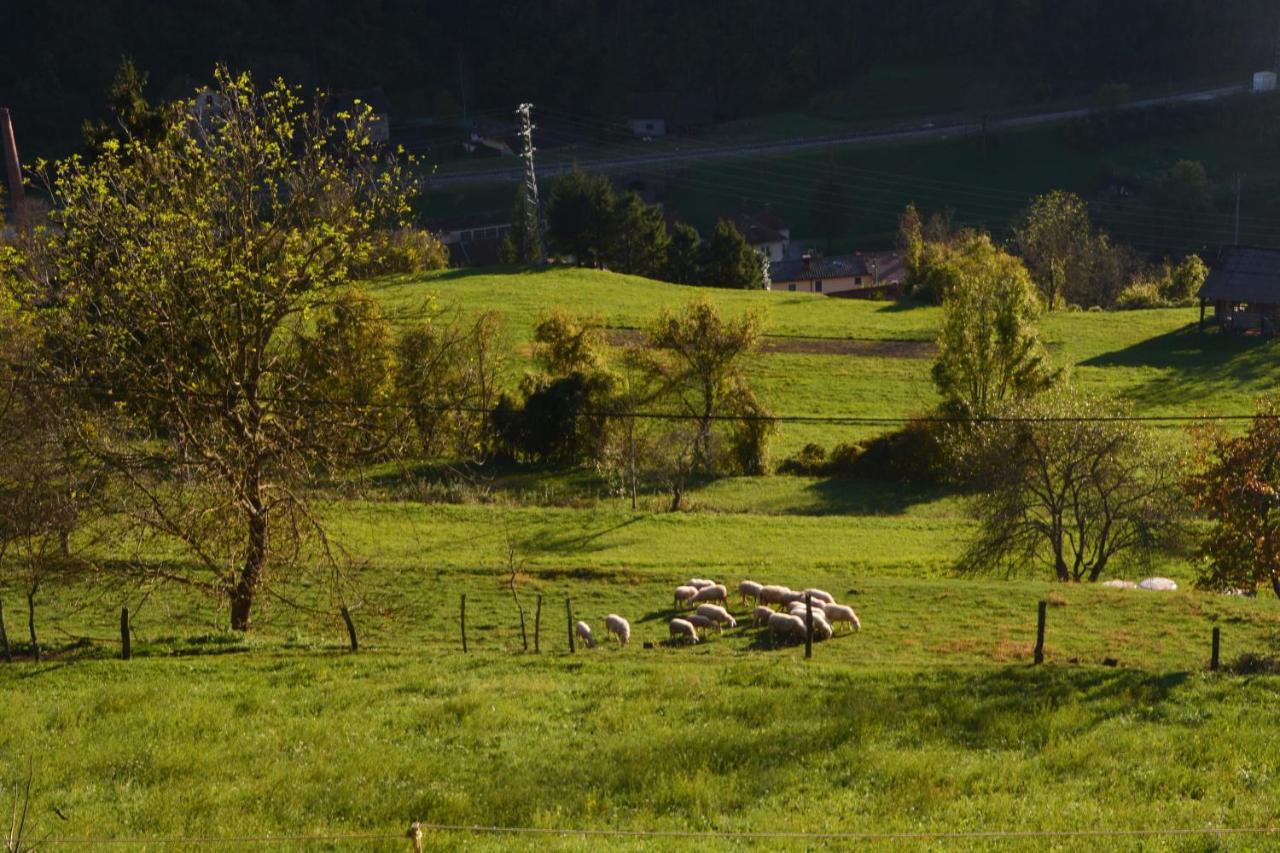 Apartma Zala Appartement Most na Soči Buitenkant foto