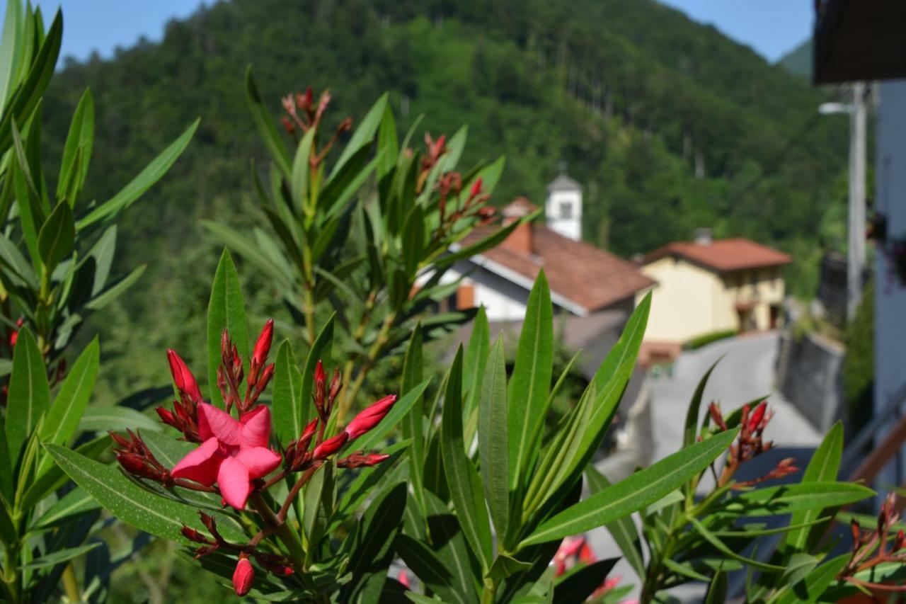 Apartma Zala Appartement Most na Soči Buitenkant foto