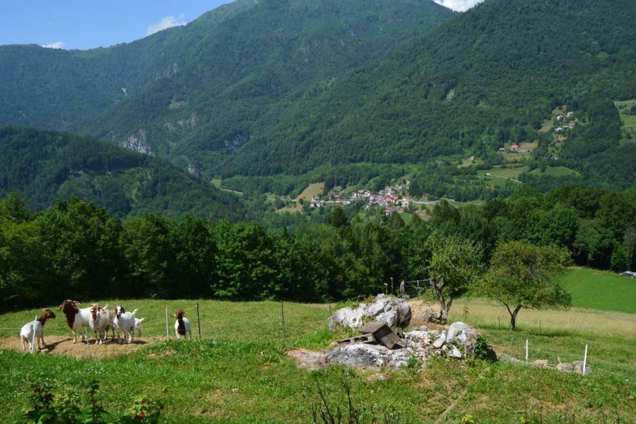 Apartma Zala Appartement Most na Soči Buitenkant foto